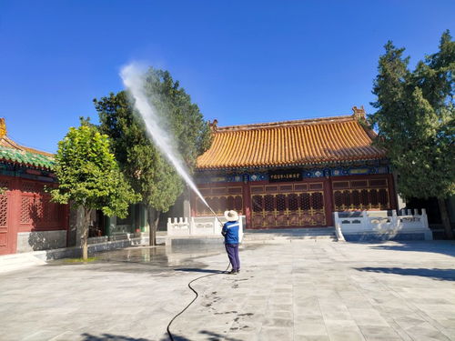 2021歡迎訪問 園林噴藥車出租針對各種樹木 實業(yè)集團