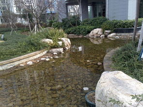 細節(jié)成就精品 園林景觀 powered discuz