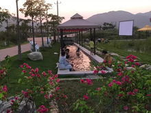 五一小長假,水稻國家公園這些旅游產品吸引近萬市民游客觀光體驗......