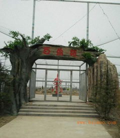 假樹大門報價 圖片 價格 報價 行情 今日價格,假樹大門報價 圖片 價格 報價 行情 今日價格生產廠家,假樹大門報價 圖片 價格 報價 行情 今日價格價格