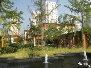 大道匠心 探求榮盛執著于背后的細節故事