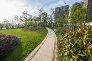 看慣了北方的生態粗線條 來感受下江南精品園林的畫風