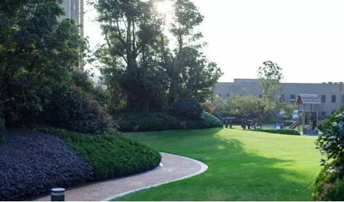 新力地產(chǎn)鈺瓏灣 經(jīng)濟性景觀與公園化住宅的完美碰撞